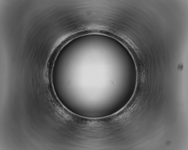 X0000101191022200806271310