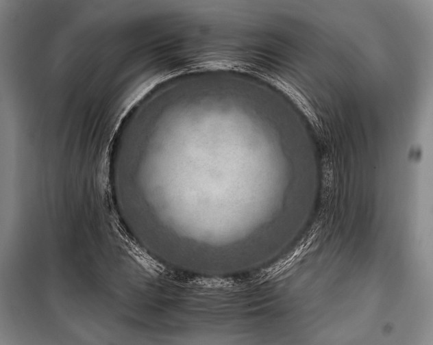 X0000101191023200806271310