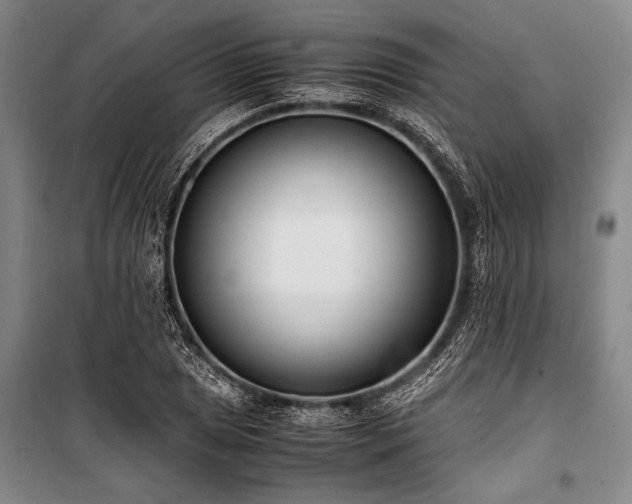 X0000101191025200806271310
