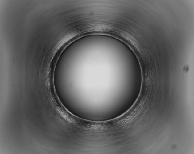 X0000101191026200806271310