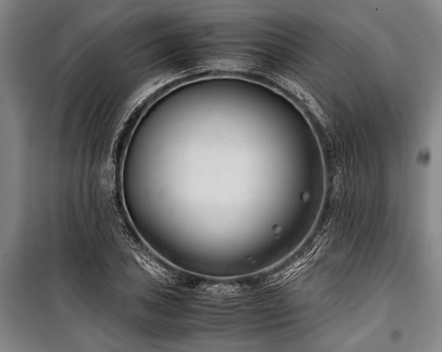 X0000101191027200806271310