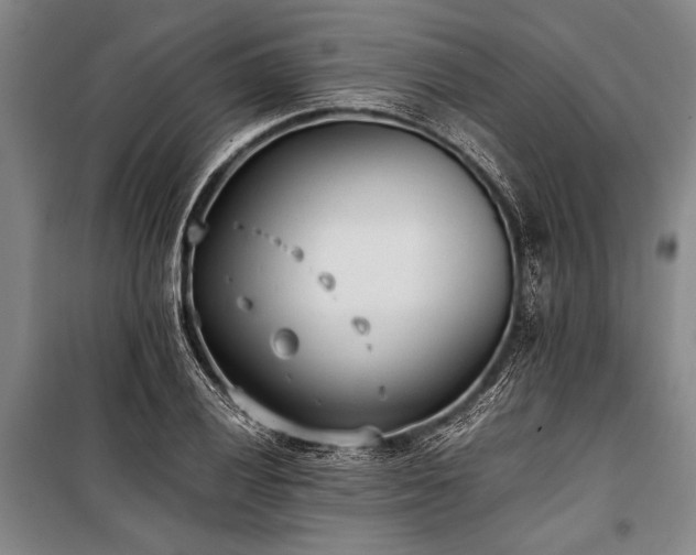X0000101191028200806271310