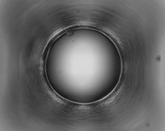 X0000101191029200806271310