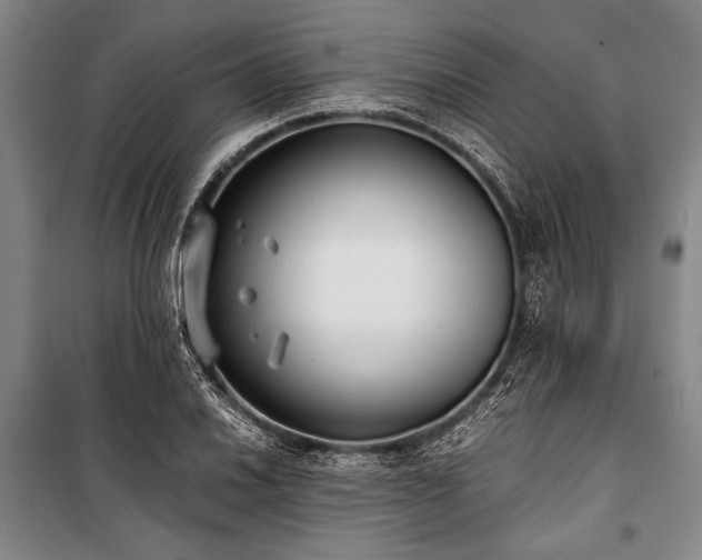 X0000101191030200806271310