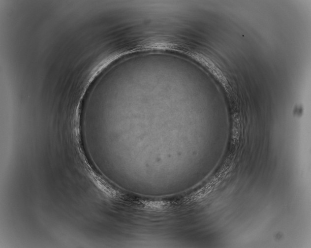 X0000101191031200806271310
