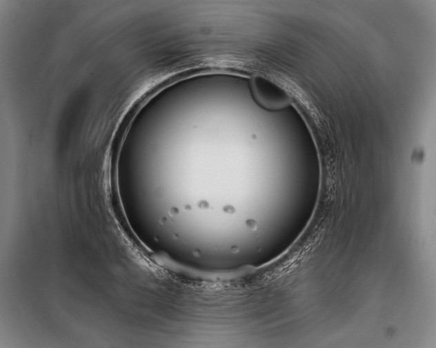 X0000101191032200806271311