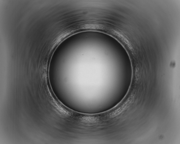 X0000101191033200806271311