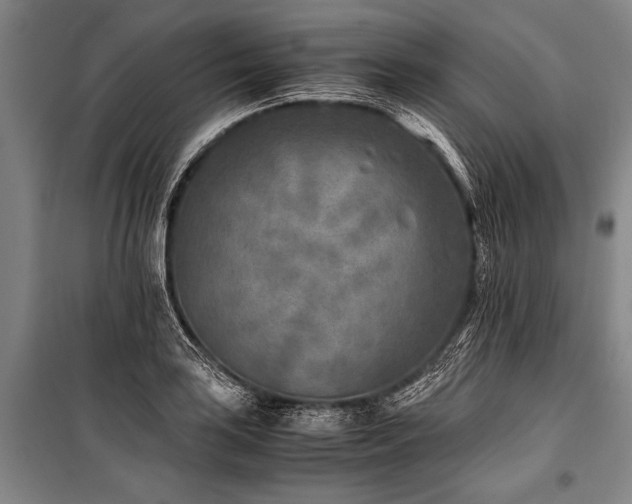 X0000101191035200806271311
