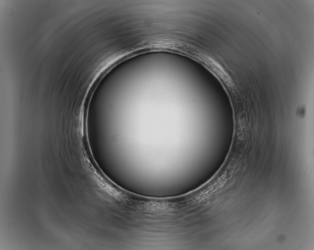 X0000101191036200806271311