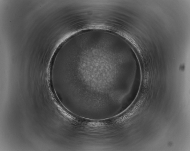 X0000101191037200806271311
