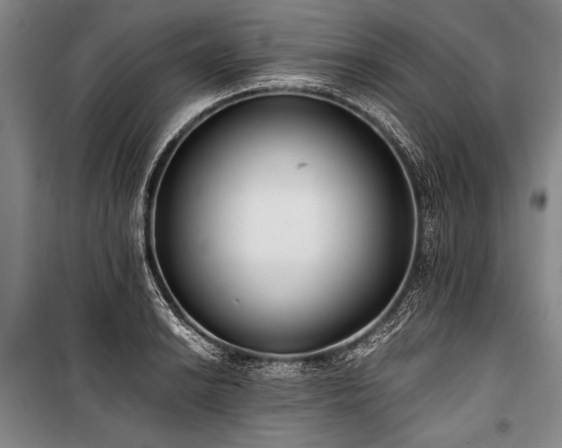 X0000101191038200806271311