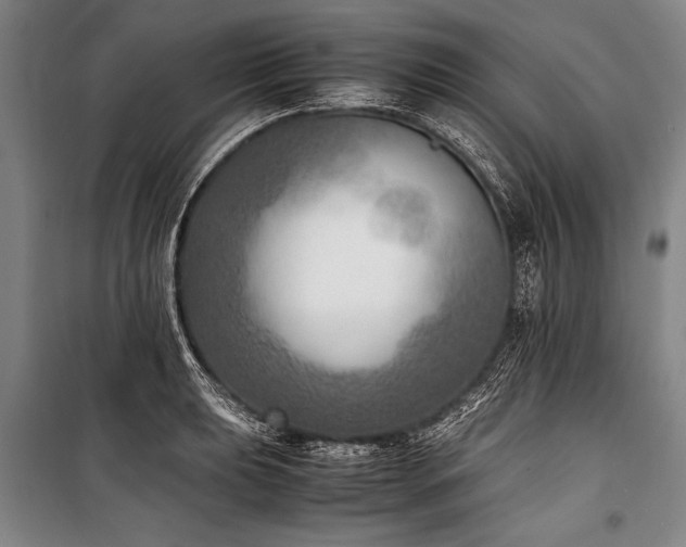 X0000101191039200806271311