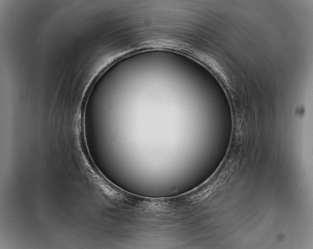 X0000101191040200806271311