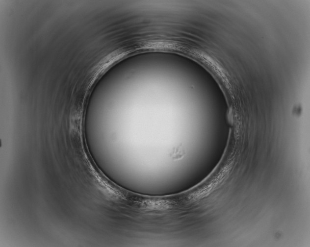 X0000101191041200806271311