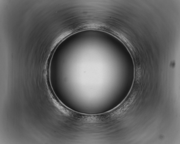 X0000101191042200806271311