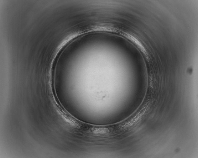 X0000101191043200806271311