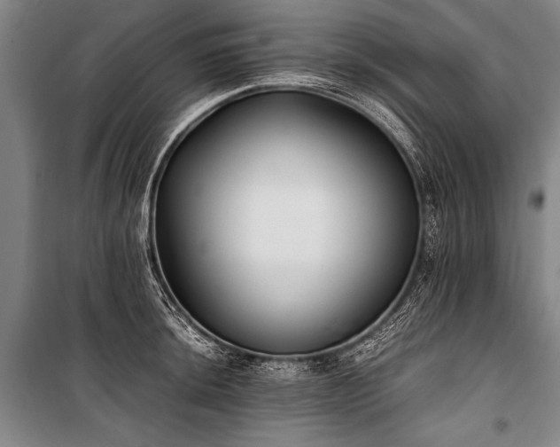 X0000101191044200806271311