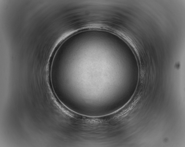 X0000101191045200806271311