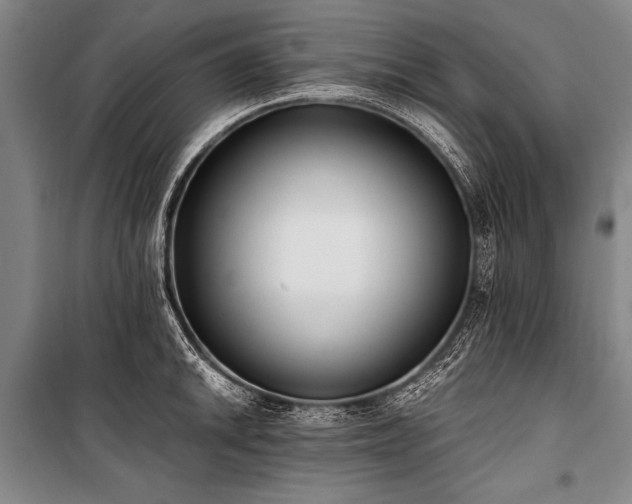 X0000101191046200806271311
