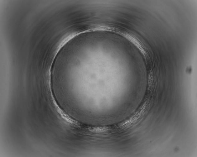 X0000101191047200806271311