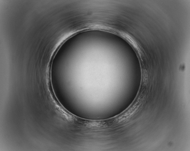 X0000101191048200806271311