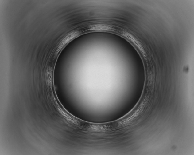 X0000101191049200806271311
