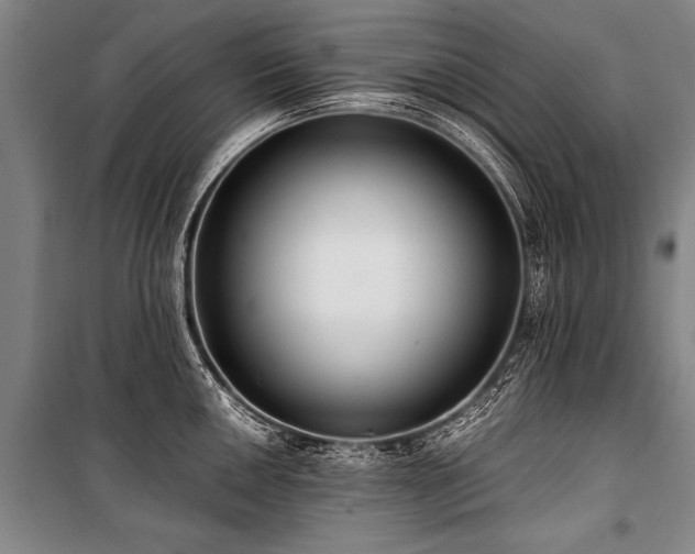 X0000101191050200806271311