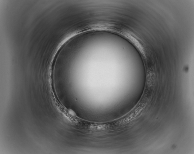 X0000101191051200806271311