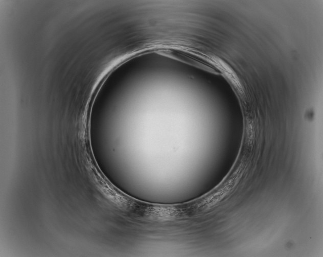 X0000101191052200806271311