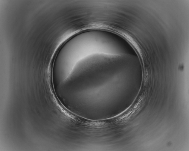 X0000101191053200806271311