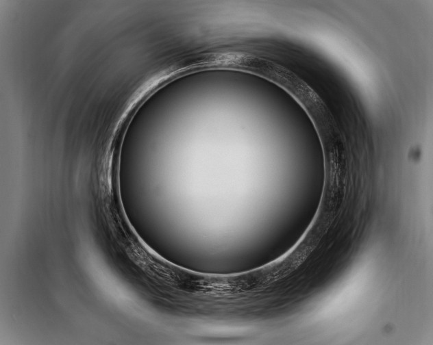 X0000101191054200806271311