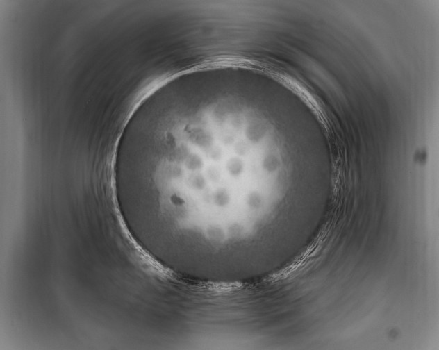 X0000101191055200806271311