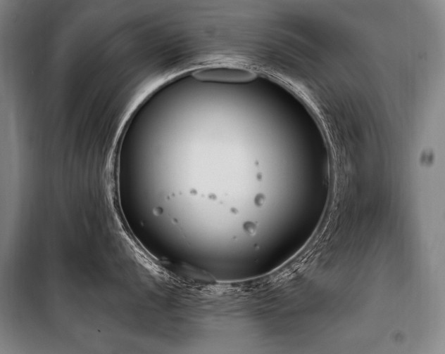 X0000101191056200806271311