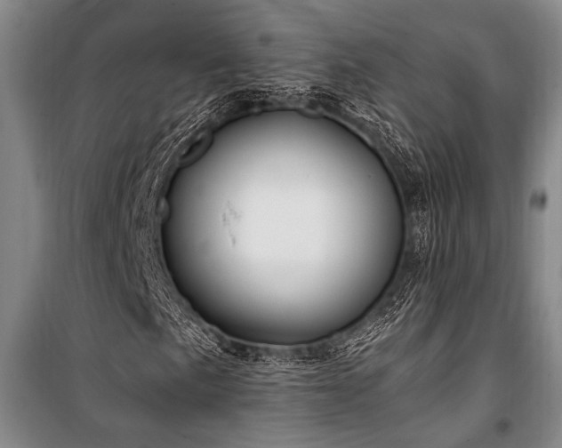 X0000101191057200806271310