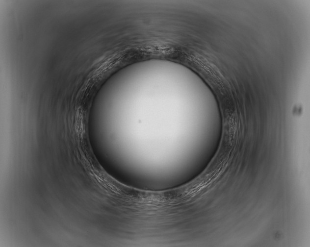 X0000101191058200806271310