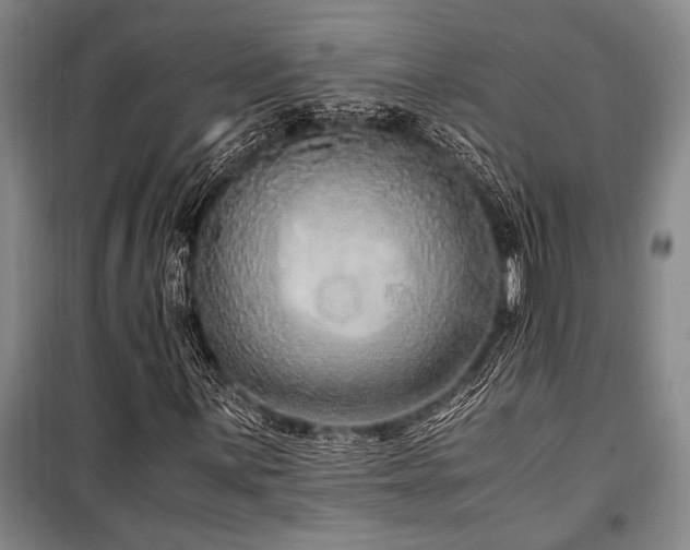 X0000101191059200806271310