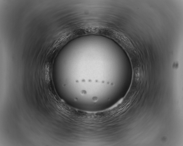 X0000101191060200806271310