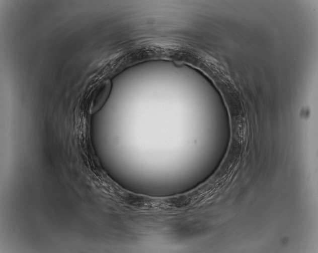 X0000101191061200806271310