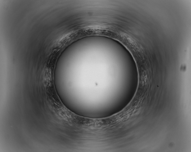 X0000101191062200806271310