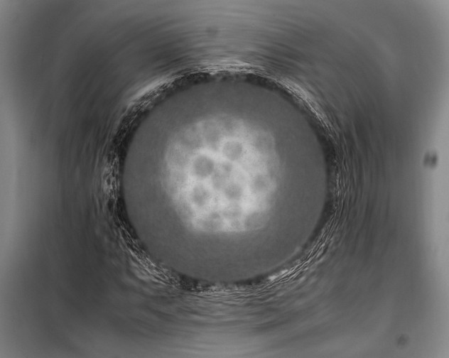 X0000101191063200806271310