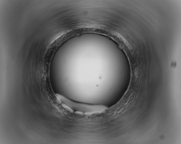 X0000101191064200806271310
