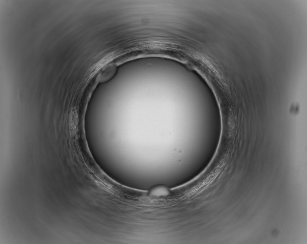 X0000101191065200806271310