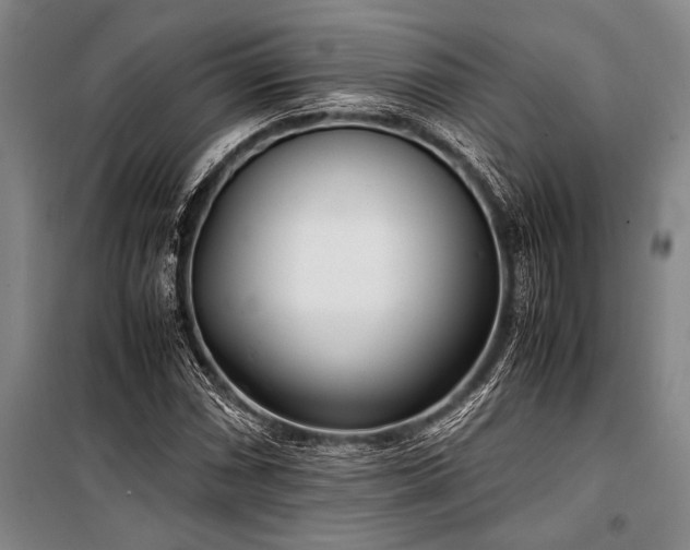 X0000101191066200806271310