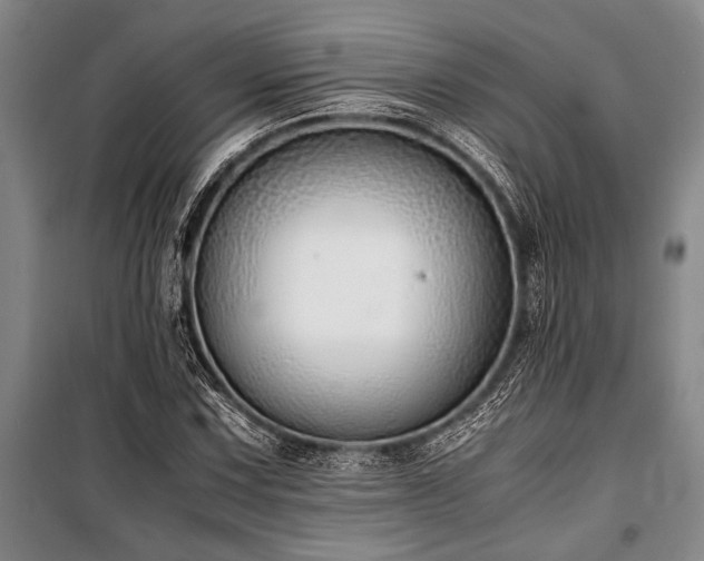 X0000101191067200806271310