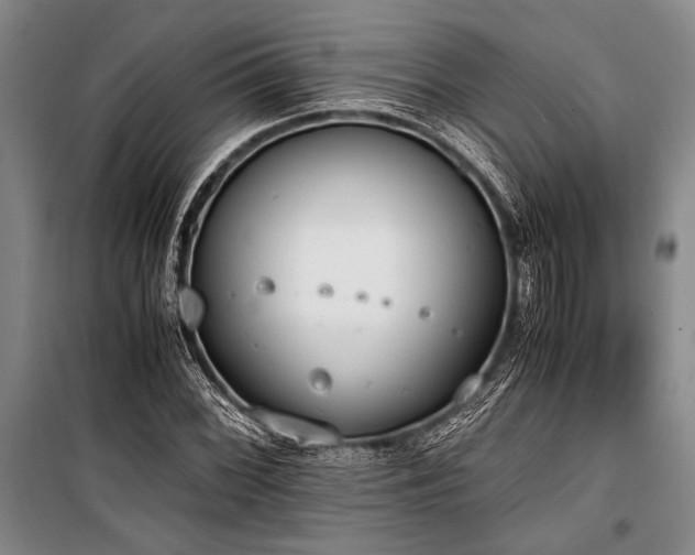 X0000101191068200806271310