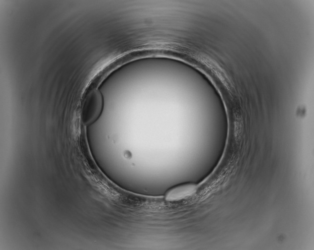 X0000101191069200806271310