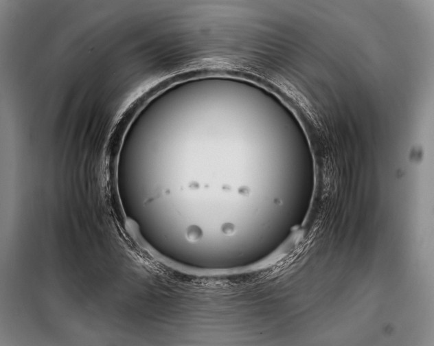 X0000101191070200806271310