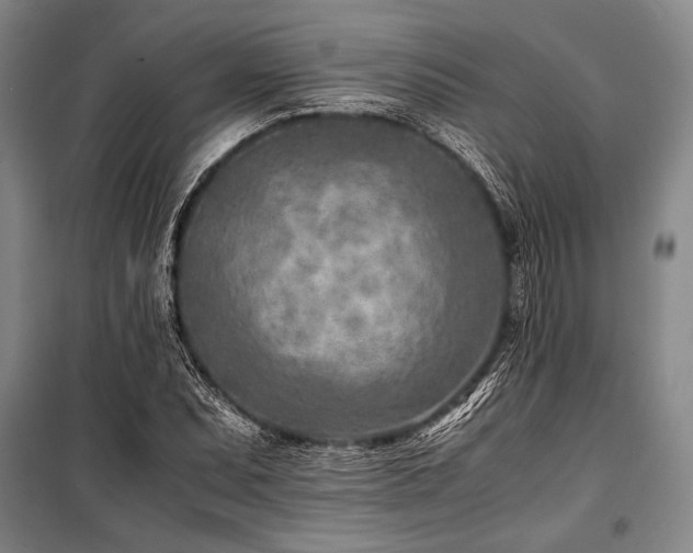 X0000101191071200806271310