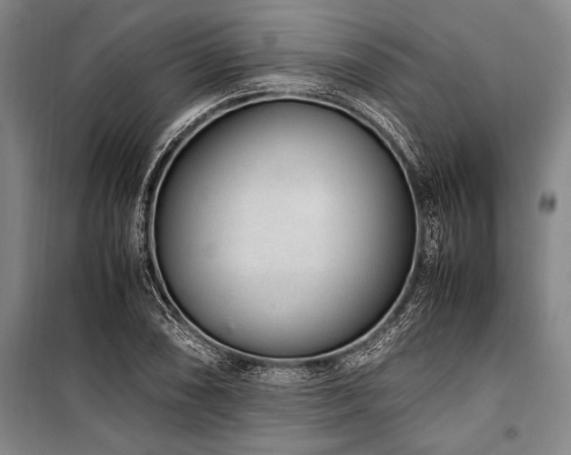 X0000101191074200806271310