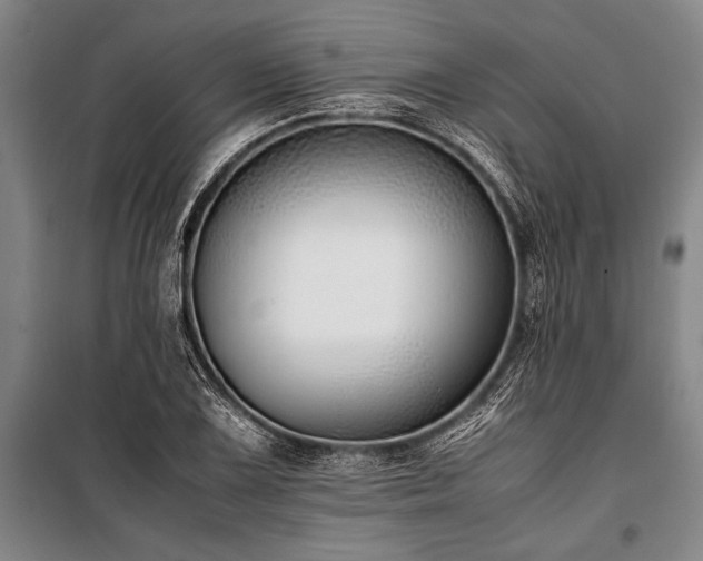 X0000101191075200806271310